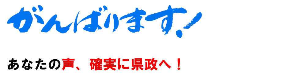 がんばります！あなたの声、県政へ！